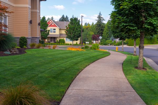 Cost of Sidewalk Patching in Bowling Green