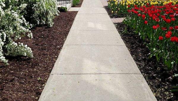 Cost of Concrete Pathway Repair in Bowling Green