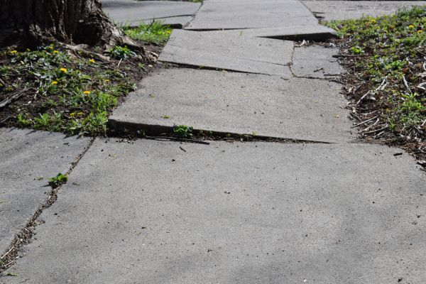 Cost of Trip Hazard Removal in Bowling Green